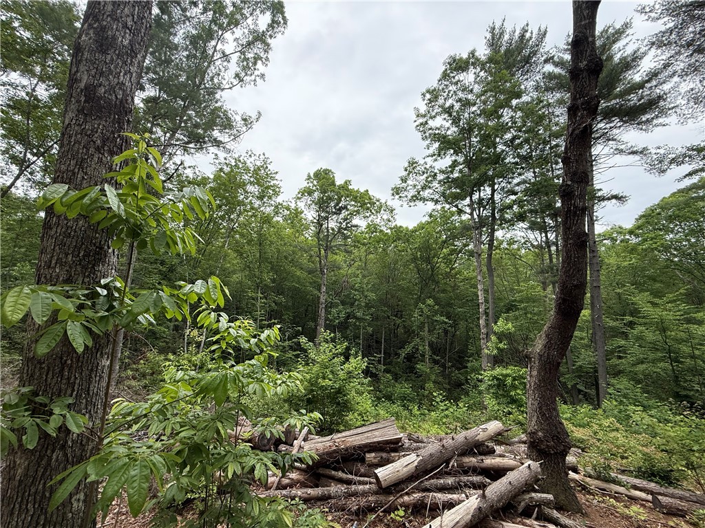 318 Gauley Falls Road Pickens, SC 29671 - Photo 7 of 12