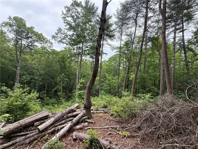 $40,000 | 318 Gauley Falls Road, Pickens, SC 29671