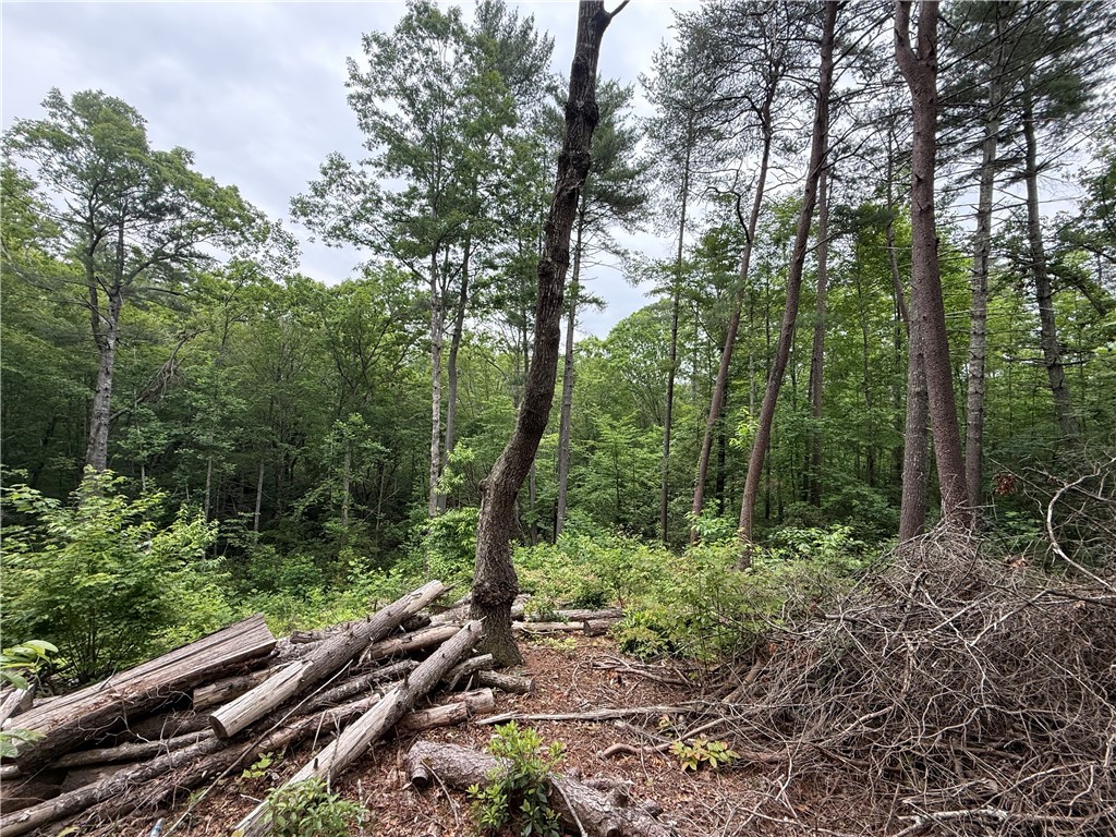 318 Gauley Falls Road Pickens, SC 29671 - Photo 8 of 12