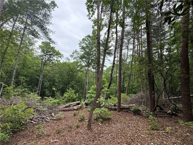 $40,000 | 318 Gauley Falls Road, Pickens, SC 29671
