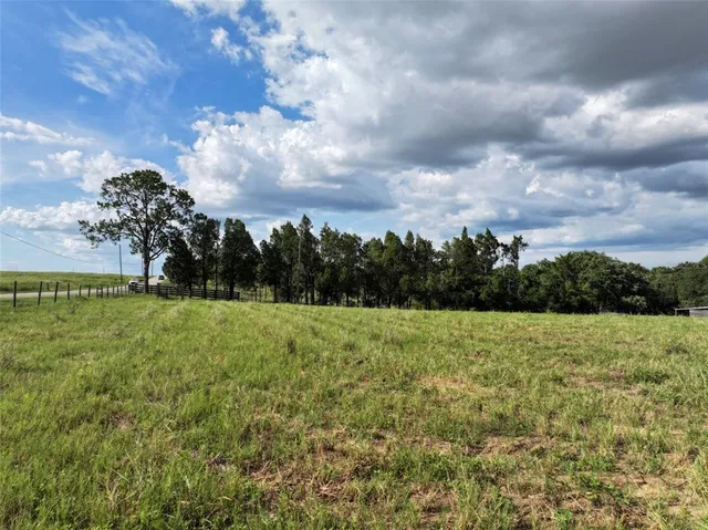 a view of a yard with a tree