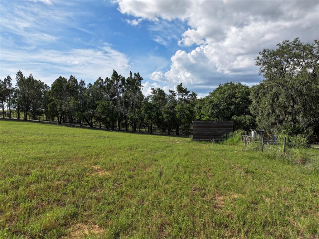 4501 Detour Road Haines City, FL 33844 - Photo 42 of 65 a view of a garden