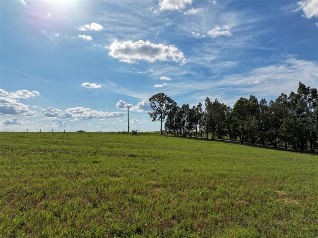 4501 Detour Road Haines City, FL 33844 - Photo 43 of 65 a view of a big yard with lots of green space and lake view in back