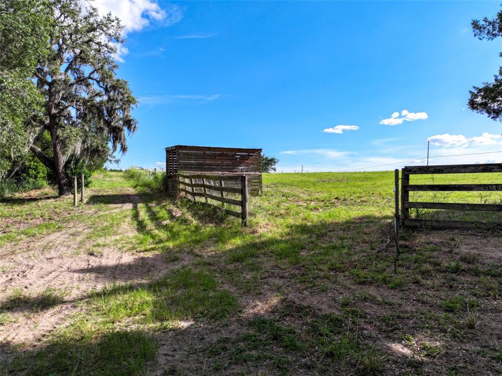 4501 Detour Road Haines City, FL 33844 - Photo 44 of 65 a view of a garden with an outdoor space