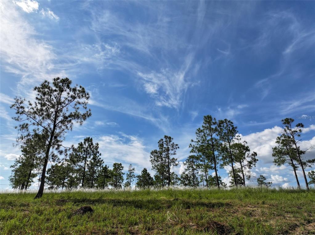 4501 Detour Road Haines City, FL 33844 - Photo 53 of 65 a view of a golf course with a garden