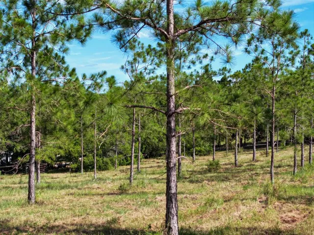 $1,549,000 | 4501 Detour Road, Haines City, FL 33844