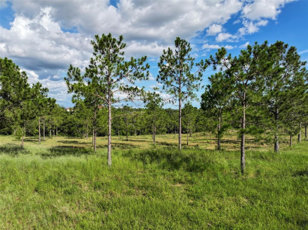 4501 Detour Road Haines City, FL 33844 - Photo 58 of 65