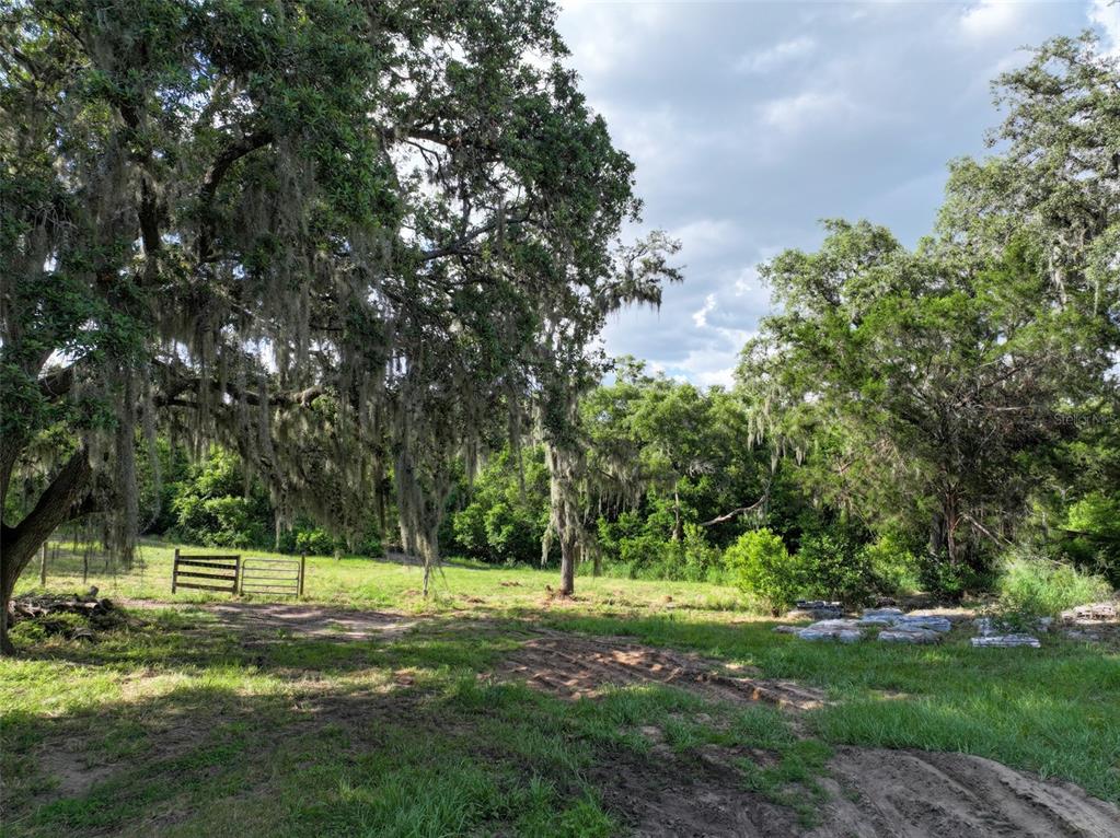 4501 Detour Road Haines City, FL 33844 - Photo 61 of 65 a view of a park with large trees