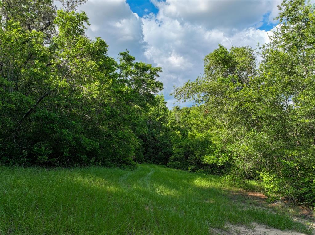 4501 Detour Road Haines City, FL 33844 - Photo 62 of 65 a view of a yard