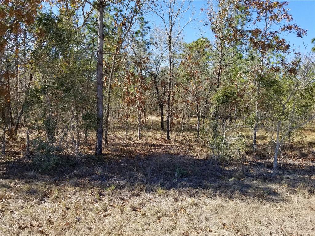 14151 Dusky Warbler Road Weeki Wachee, FL 34614 - Photo 1 of 1