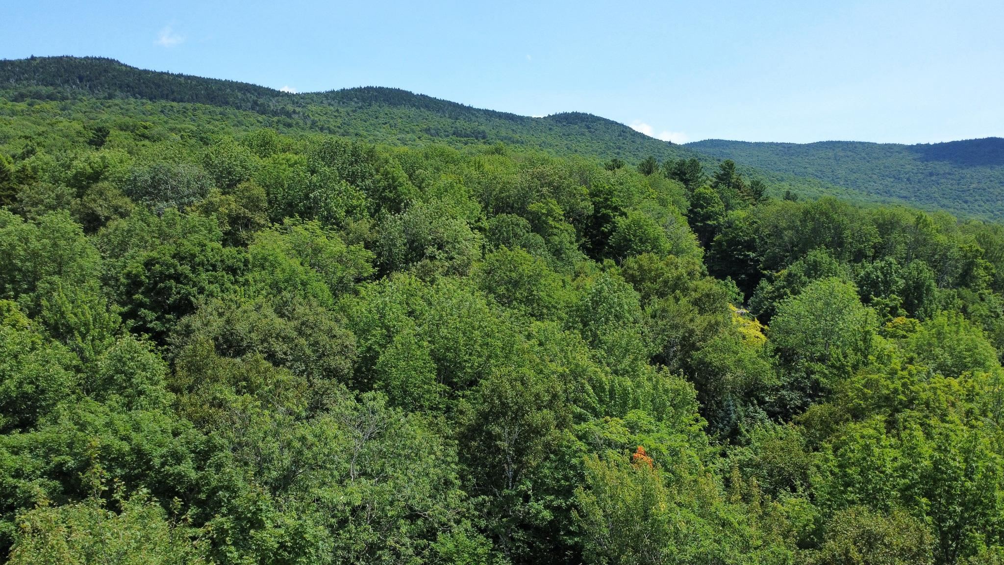 1 Prickly Mountain Road Warren, VT 05674 - Photo 2 of 4