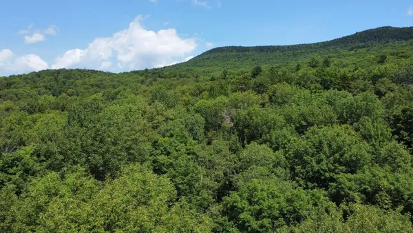 $65,000 | 1 Prickly Mountain Road, Warren, VT 05674