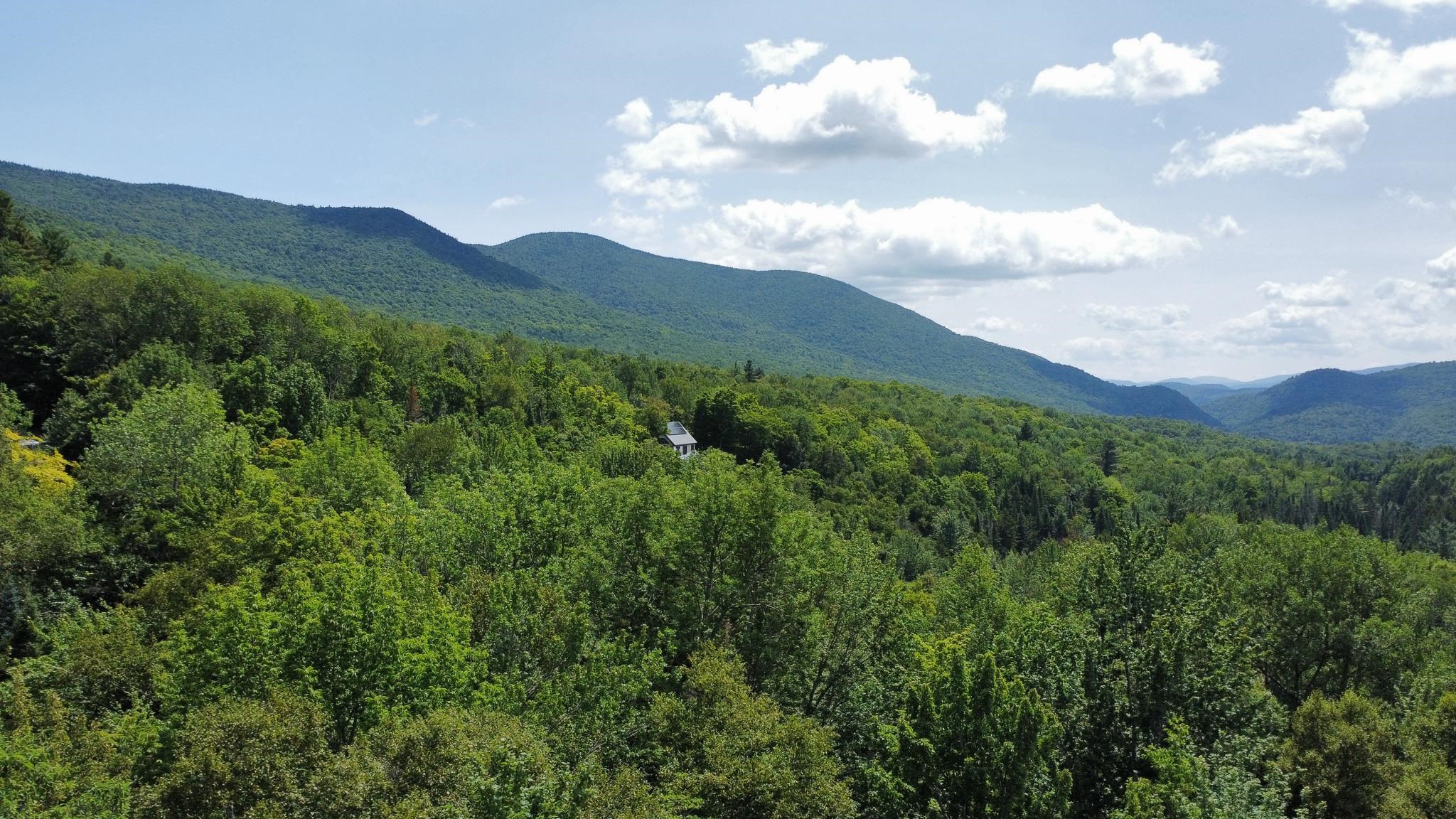 1 Prickly Mountain Road Warren, VT 05674 - Photo 4 of 4