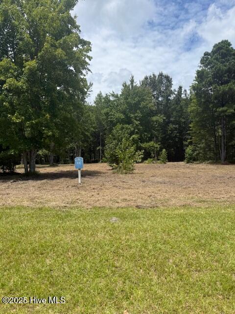 175 Colleton Circle Edenton, NC 27932 - Photo 3 of 8 Lot 143