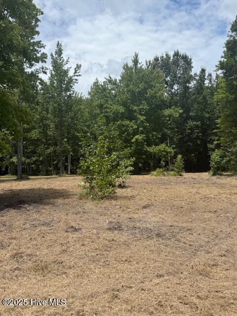 175 Colleton Circle Edenton, NC 27932 - Photo 4 of 8 Lot 143