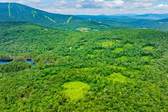 $1,250,000 | 585 Pleasant Valley Road, Jamaica, VT 05343