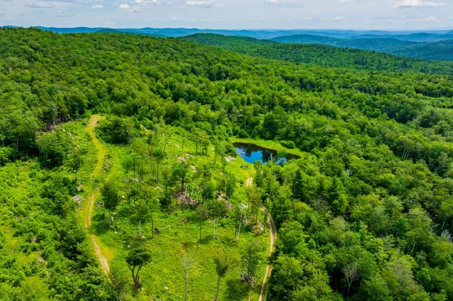 $1,250,000 | 585 Pleasant Valley Road, Jamaica, VT 05343