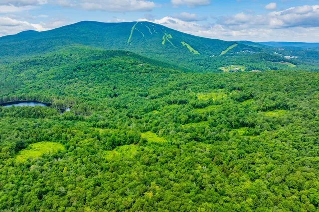 $1,250,000 | 585 Pleasant Valley Road, Jamaica, VT 05343
