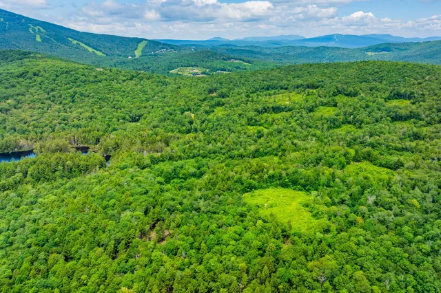 $1,250,000 | 585 Pleasant Valley Road, Jamaica, VT 05343