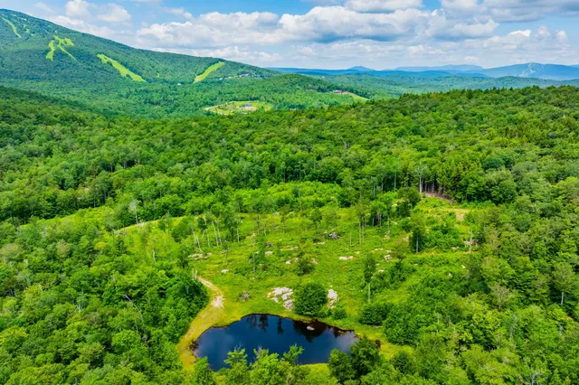 $1,250,000 | 585 Pleasant Valley Road, Jamaica, VT 05343