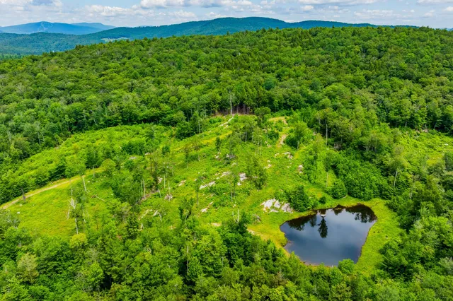 $1,250,000 | 585 Pleasant Valley Road, Jamaica, VT 05343
