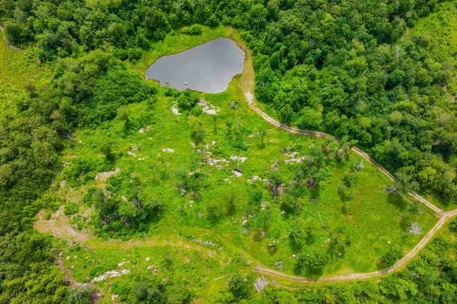 $1,250,000 | 585 Pleasant Valley Road, Jamaica, VT 05343