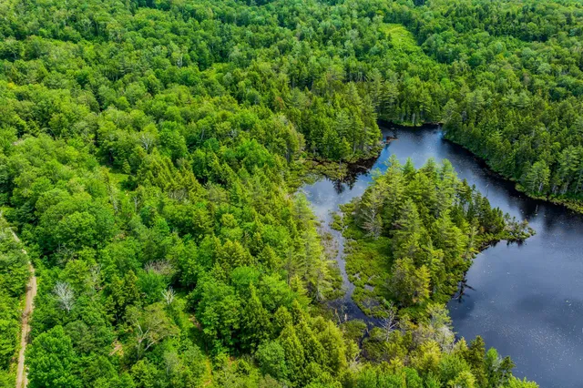 $1,250,000 | 585 Pleasant Valley Road, Jamaica, VT 05343