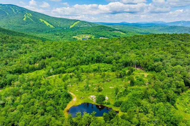 $1,250,000 | 585 Pleasant Valley Road, Jamaica, VT 05343