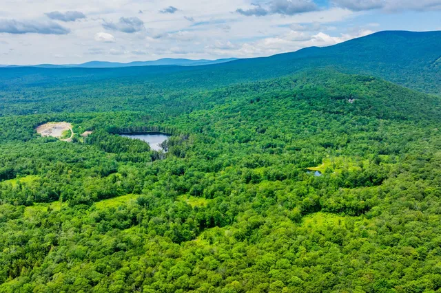 $1,250,000 | 585 Pleasant Valley Road, Jamaica, VT 05343