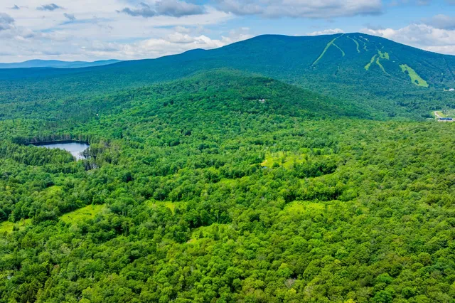 $1,250,000 | 585 Pleasant Valley Road, Jamaica, VT 05343