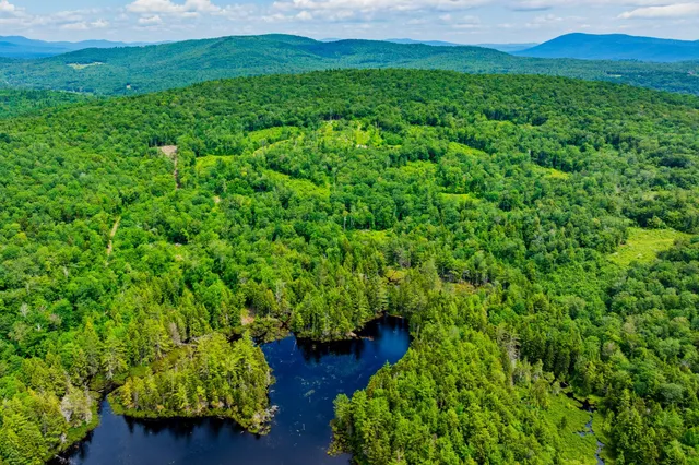 $1,250,000 | 585 Pleasant Valley Road, Jamaica, VT 05343