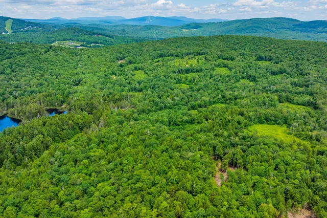 $1,250,000 | 585 Pleasant Valley Road, Jamaica, VT 05343