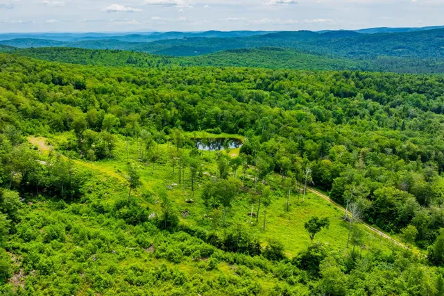 $1,250,000 | 585 Pleasant Valley Road, Jamaica, VT 05343
