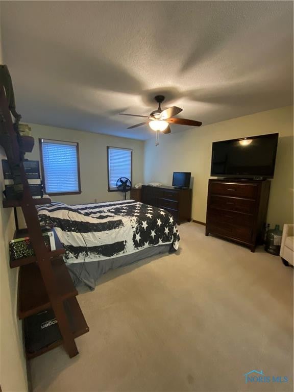 1581 County Road East Swanton, OH 43558 - Photo 20 of 25 Gallery Image 20