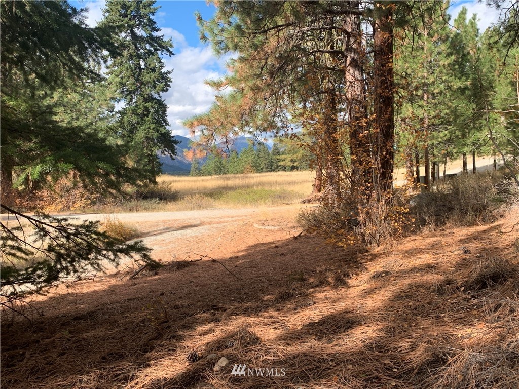 29 Cassal Road Winthrop, WA 98862 - Photo 1 of 19 a view of lake view with trees