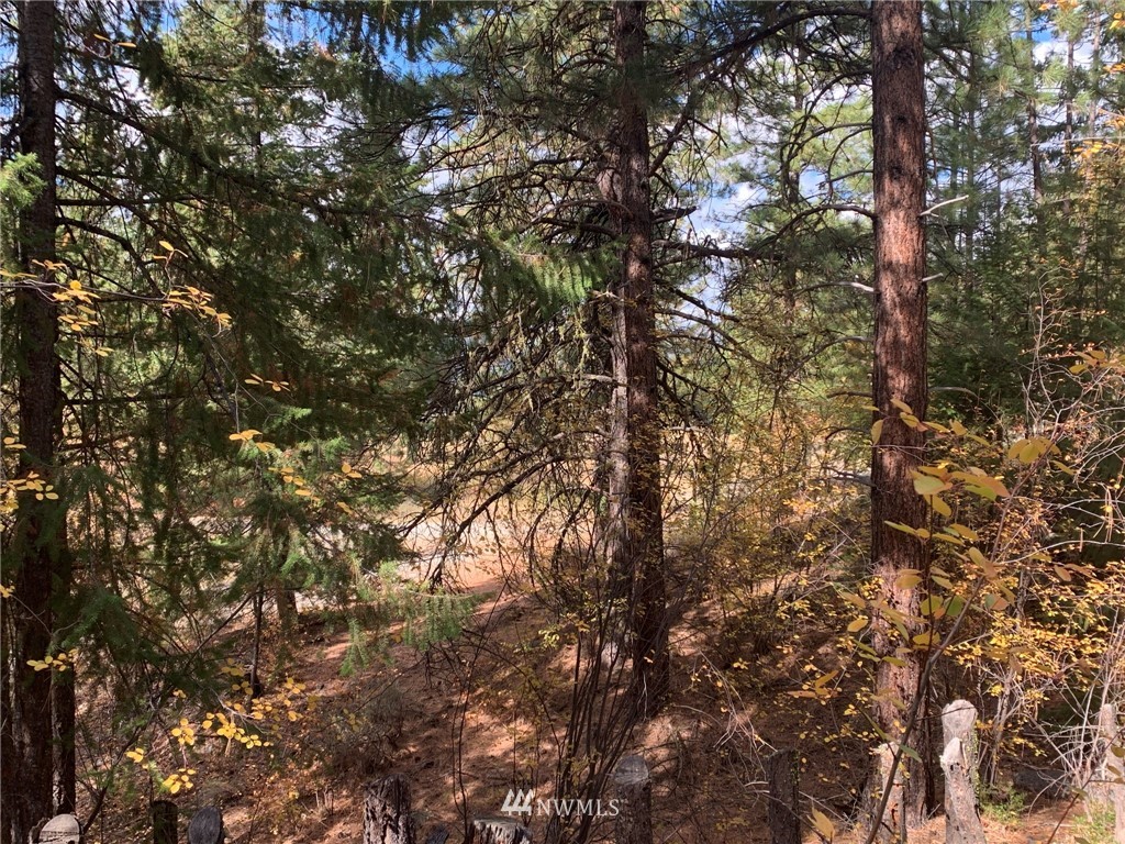 29 Cassal Road Winthrop, WA 98862 - Photo 11 of 19 a view of tree