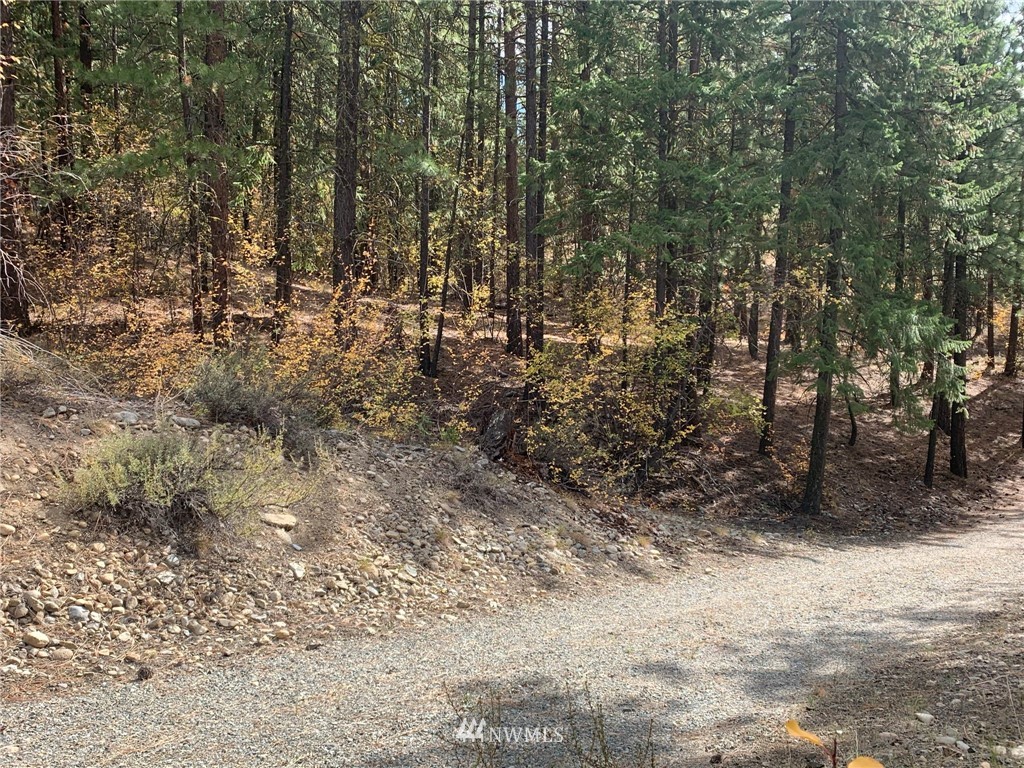 29 Cassal Road Winthrop, WA 98862 - Photo 16 of 19 a view of a yard with large trees