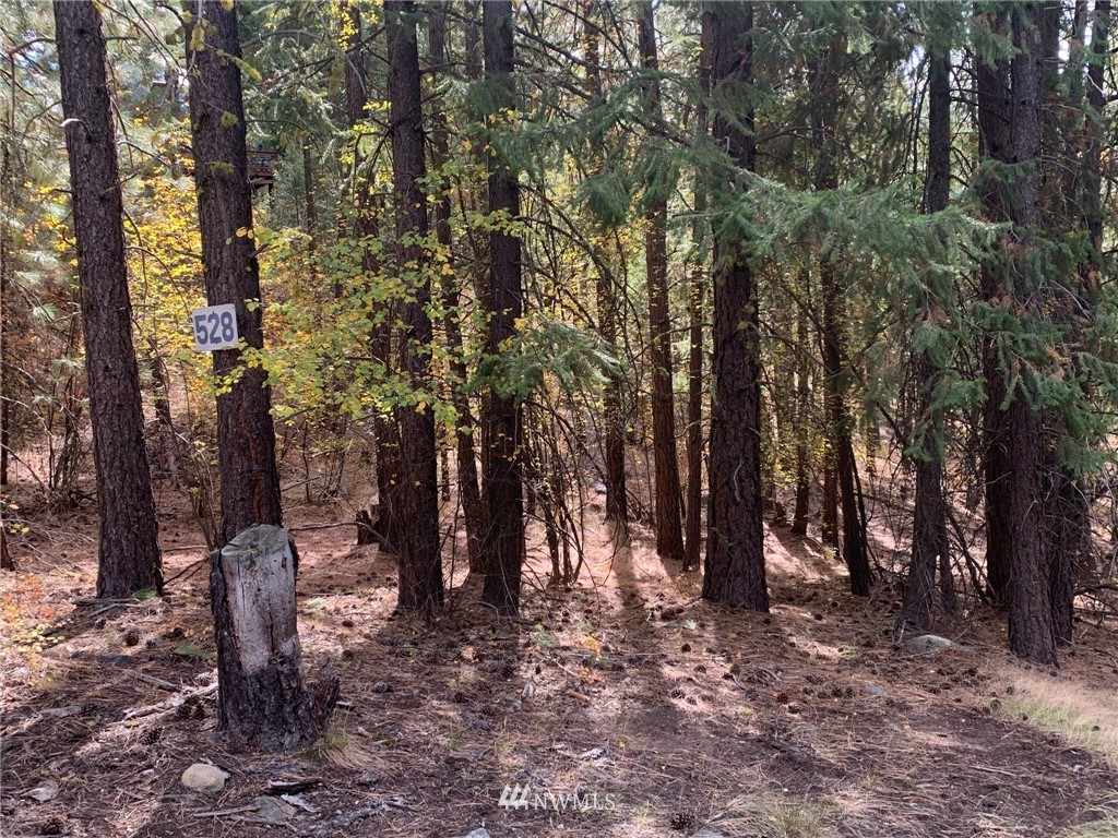 29 Cassal Road Winthrop, WA 98862 - Photo 7 of 19 a view of outdoor space with trees