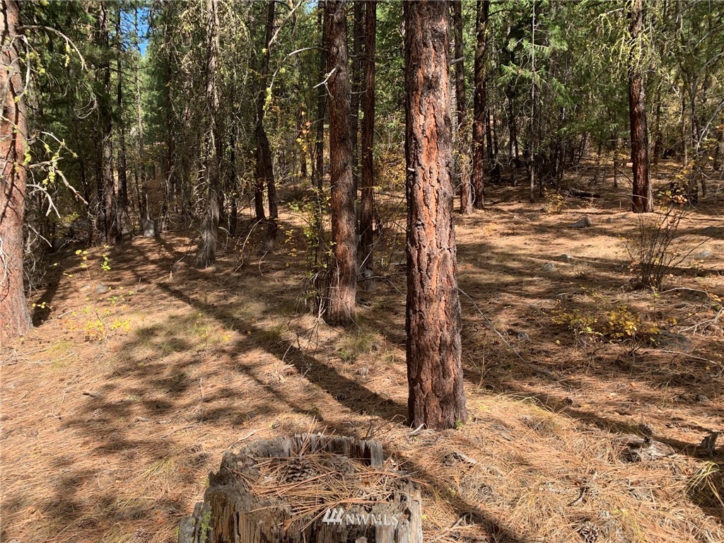29 Cassal Road Winthrop, WA 98862 - Photo 10 of 19 a view of empty space with trees