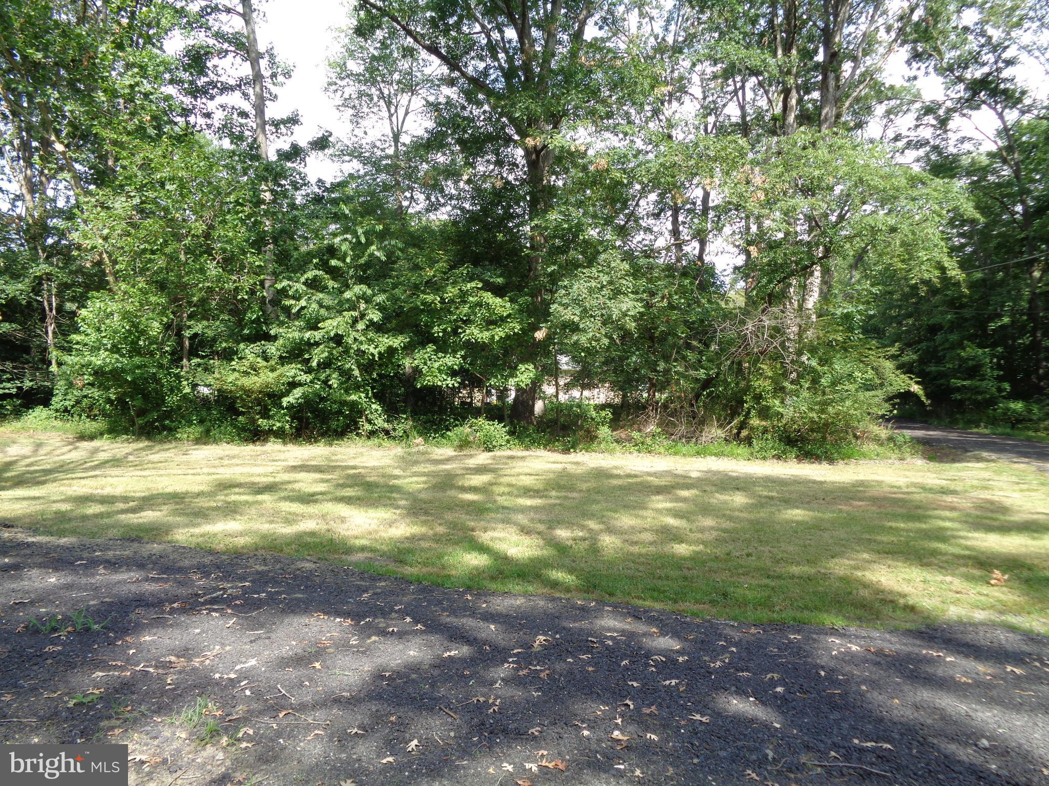 13628 Tower Road Brandywine, MD 20613 - Photo 14 of 15 DRIVEWAY/YARD