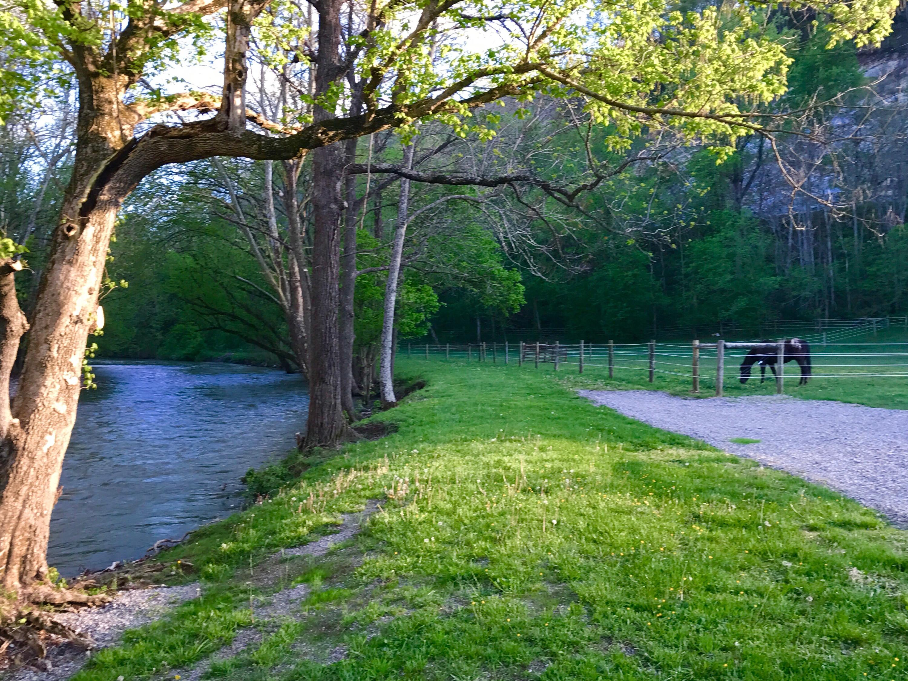 5738 North Fork Road Elliston, VA 24087 - Photo 2 of 77 a view of green field with trees