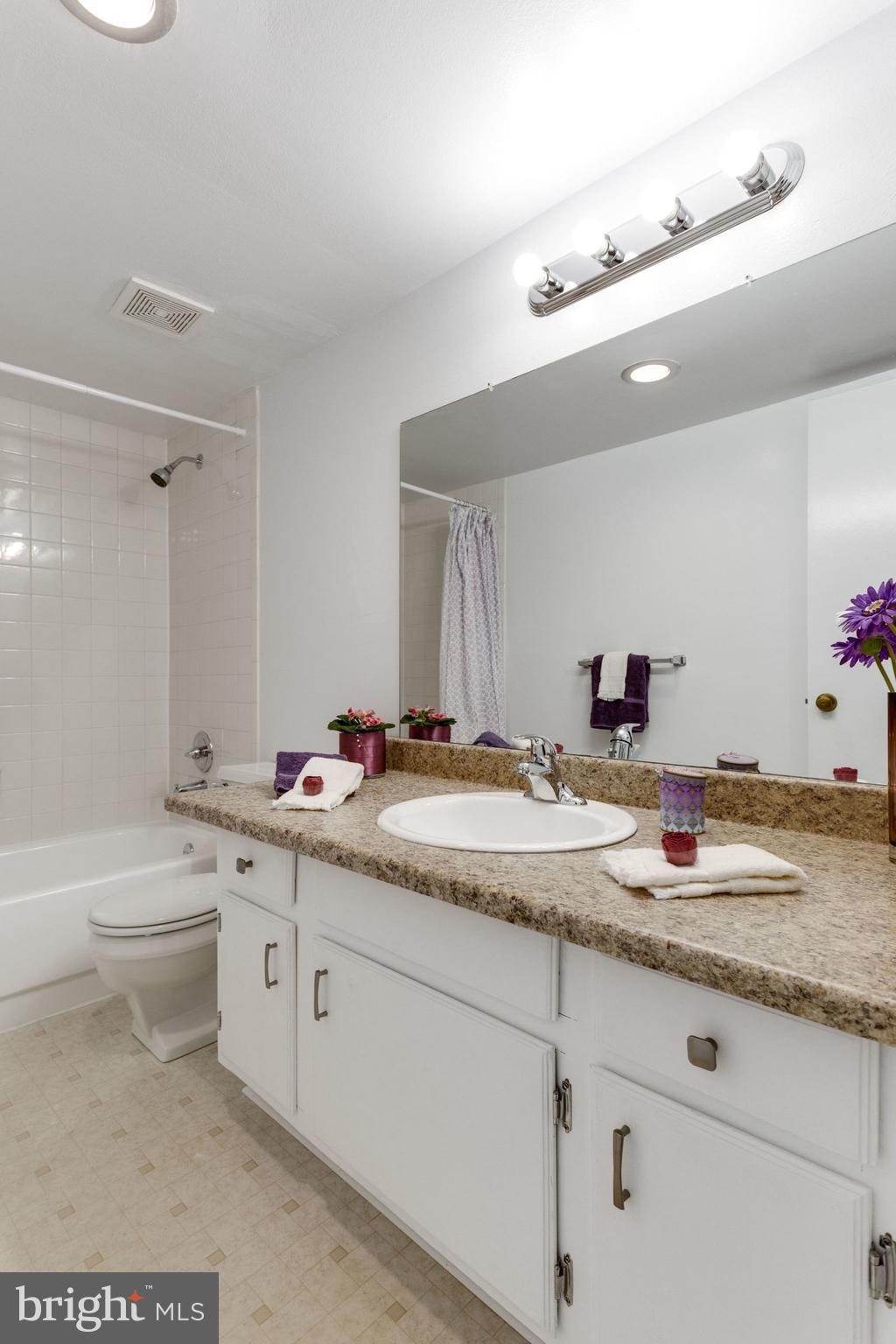 6101 Edsall Road, Unit 1105 Alexandria, VA 22304 - Photo 29 of 42 MASTER BATH