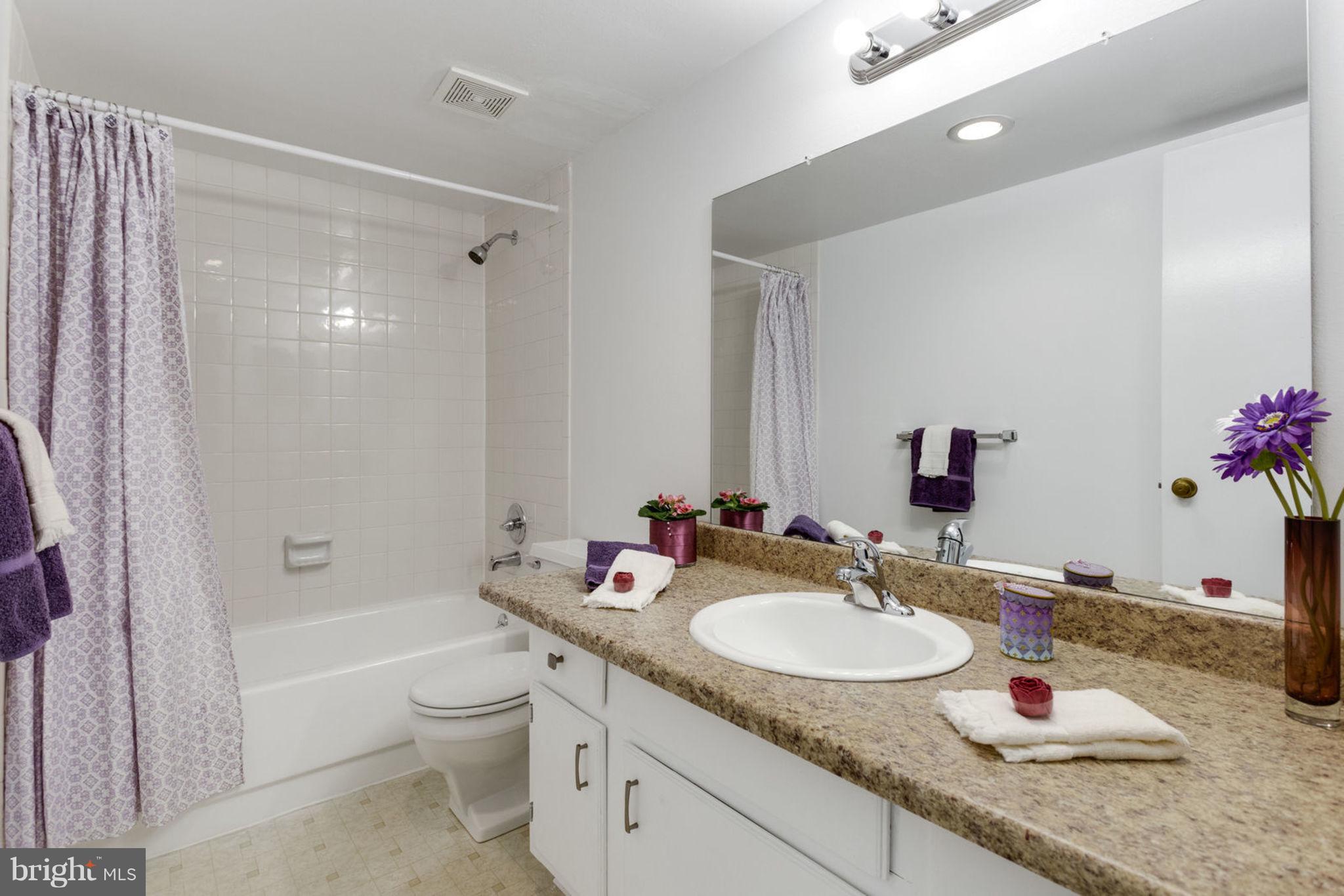 6101 Edsall Road, Unit 1105 Alexandria, VA 22304 - Photo 30 of 42 MASTER BATH