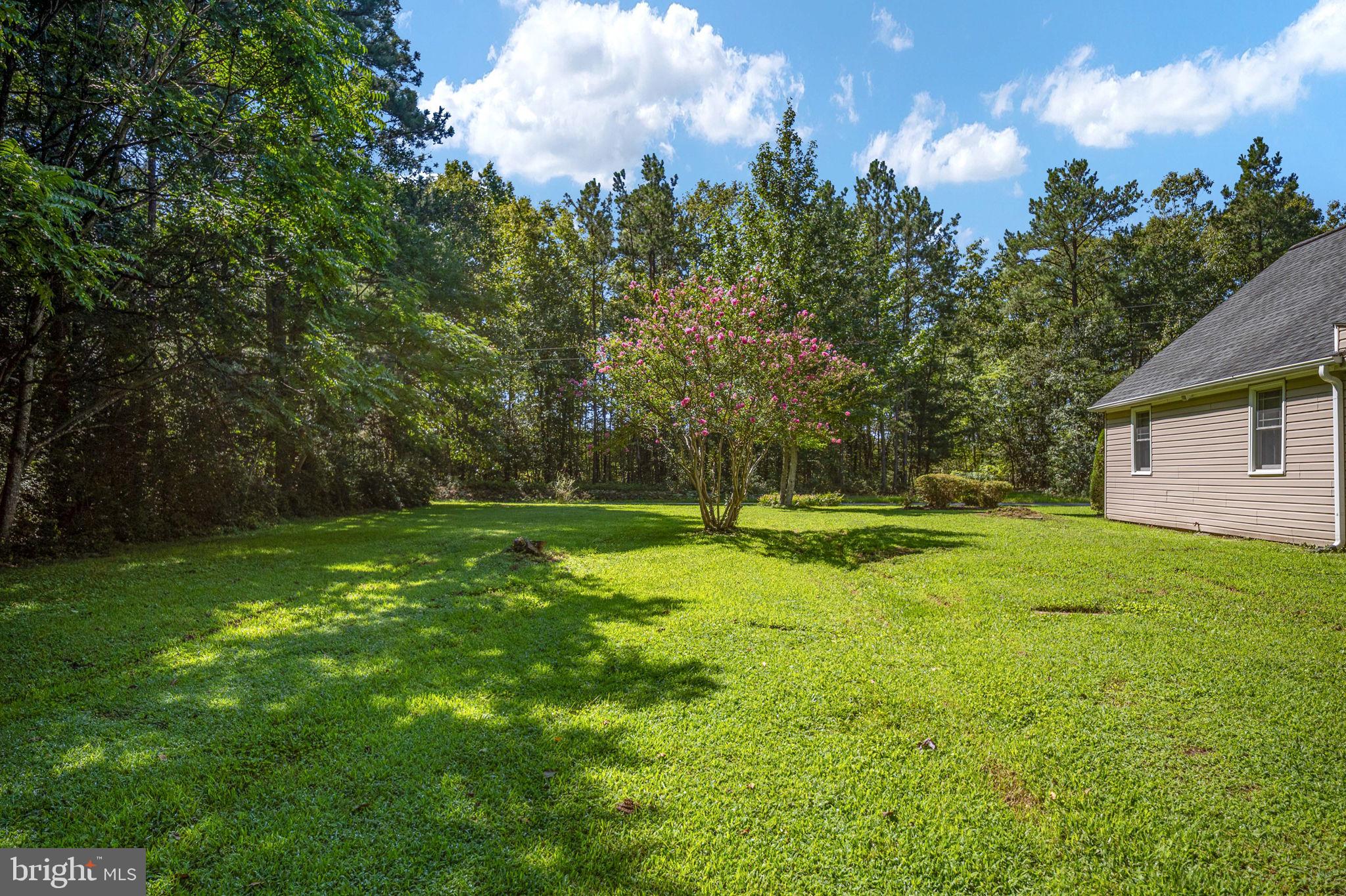 7397 Cedar Fork Road Ruther Glen, VA 22546 - Photo 53 of 57 Gallery Image 53