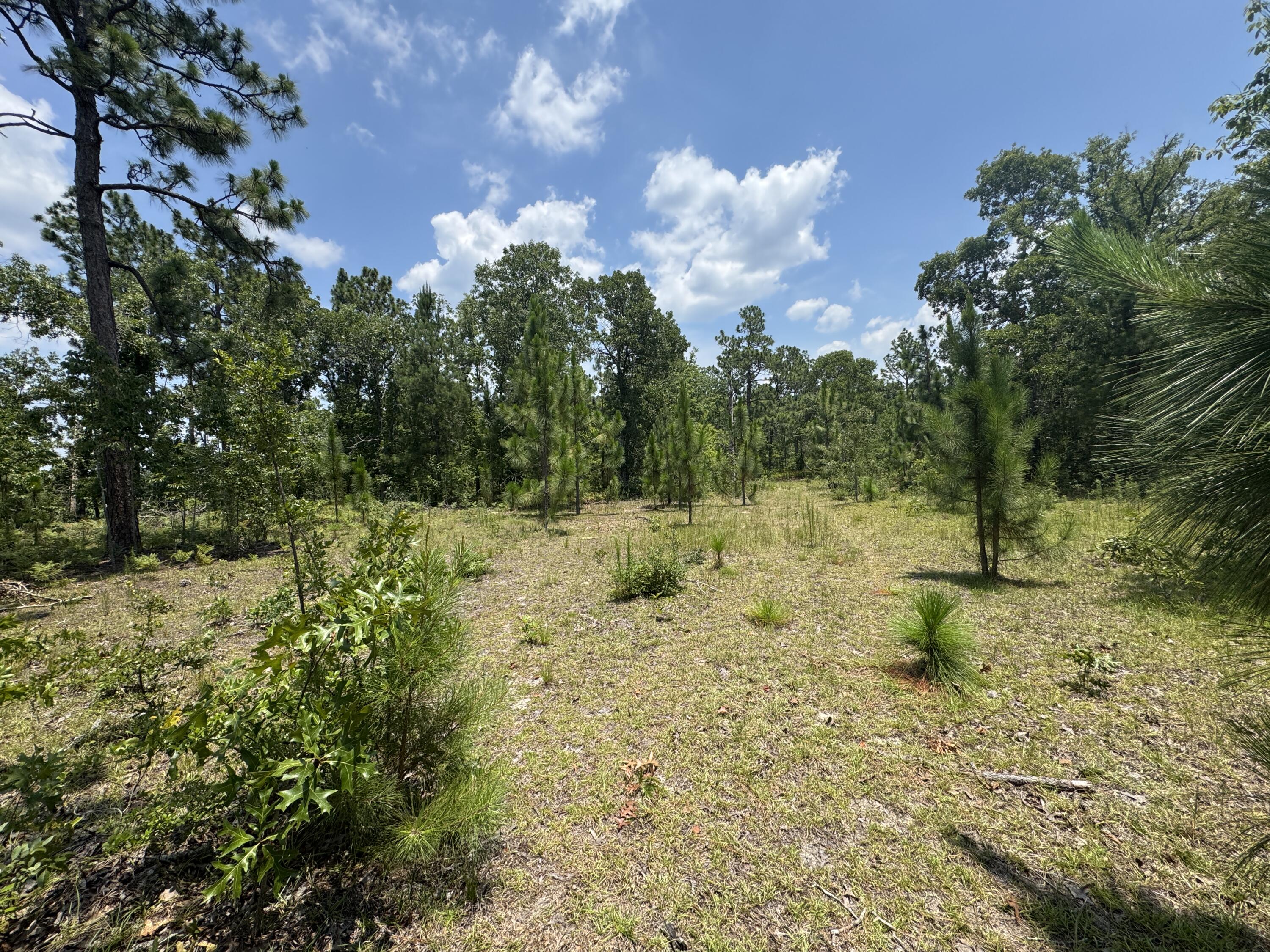 174 Hard Luck Lane Windsor, SC 29856 - Photo 20 of 27