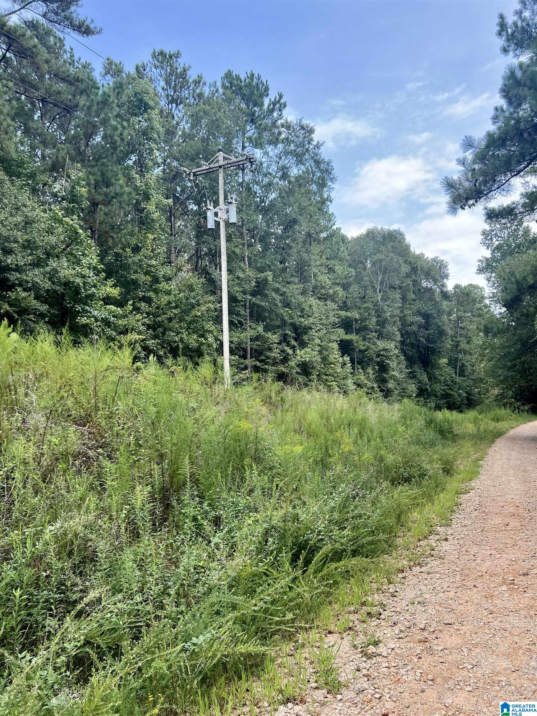 252 County Road 252 Wedowee, AL 36278 - Photo 9 of 9