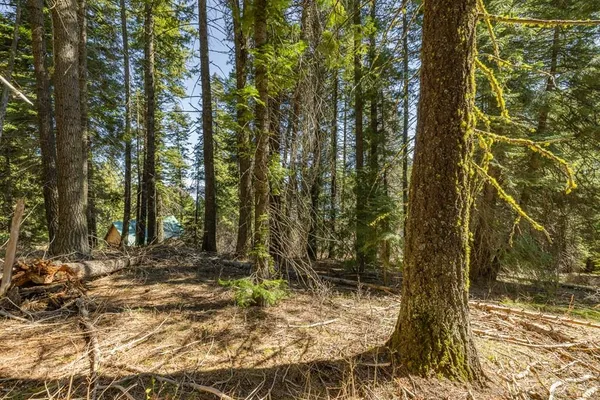 $175,000 | 44 Burnt Wagon Trail, Cascade, ID 83611