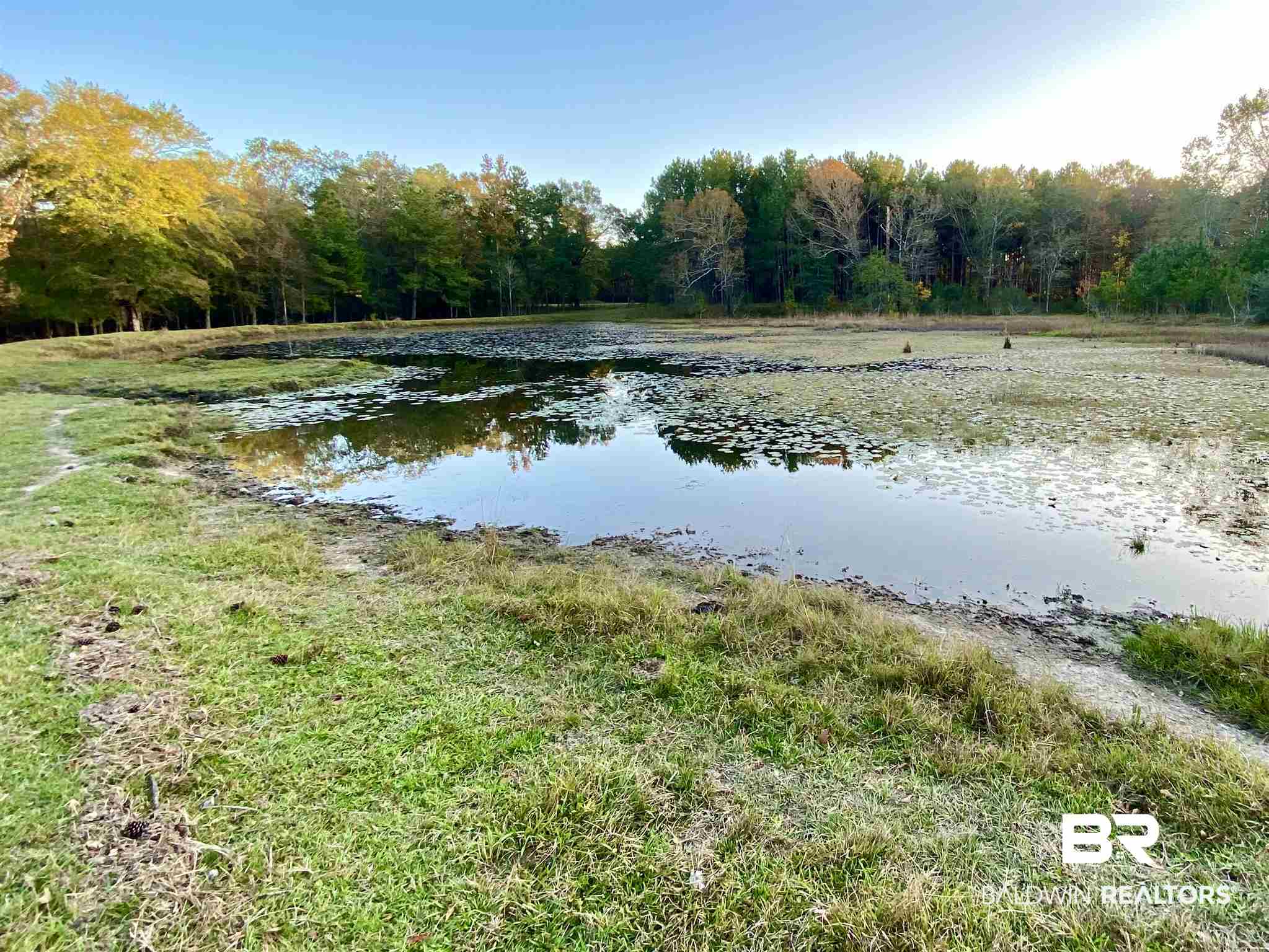0 Country Road Fruitdale, AL 36539 - Photo 17 of 47