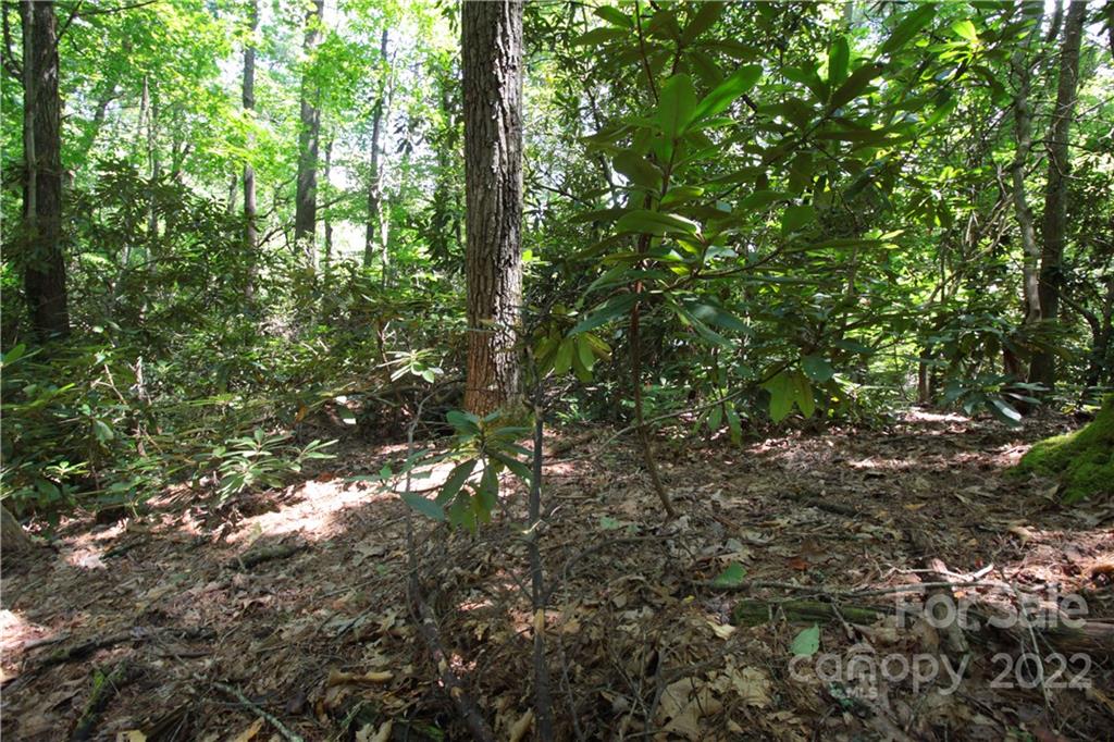 Lot 9 Kelly Mountain Road, Unit 9 Brevard, NC 28712 - Photo 14 of 19 Gallery Image 14