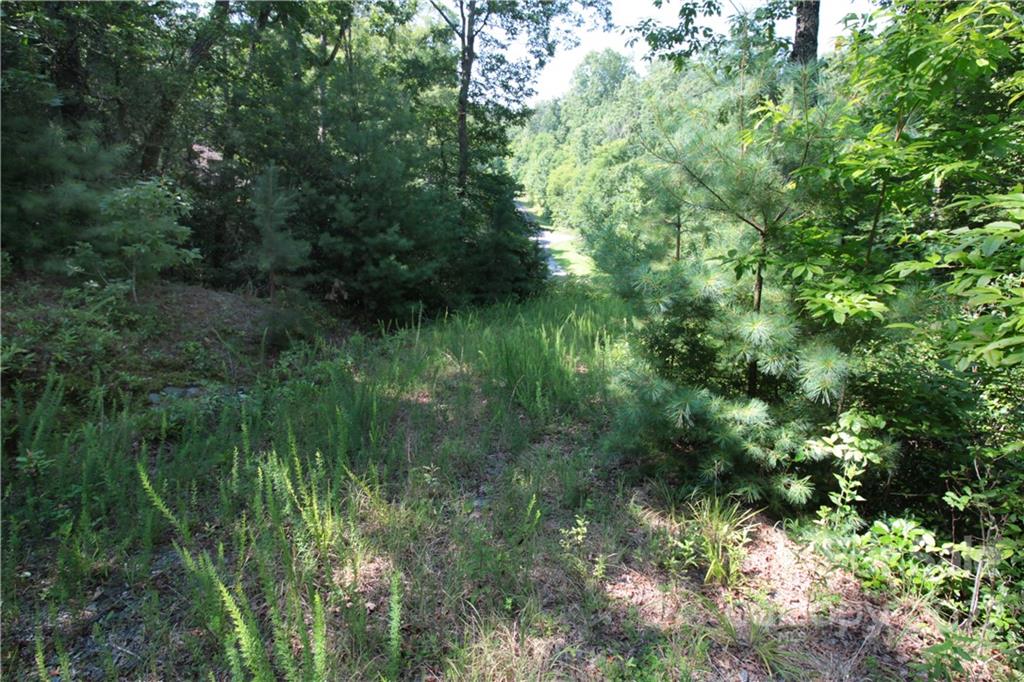 Lot 9 Kelly Mountain Road, Unit 9 Brevard, NC 28712 - Photo 16 of 19 Gallery Image 16